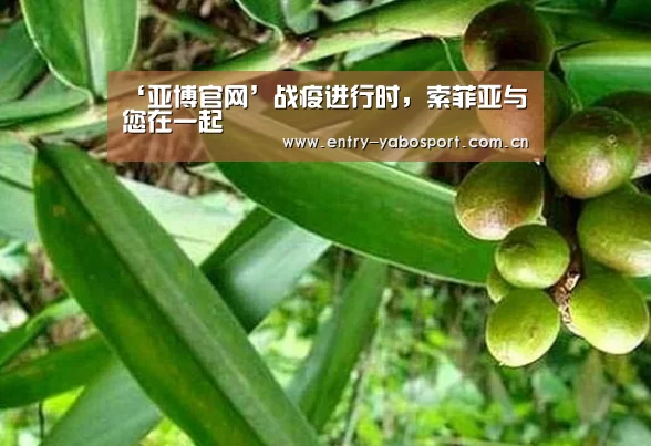 ‘亚博官网’战疫进行时,索菲亚与您在一起(图1) 亚博首页