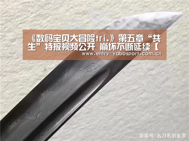 亚博网站