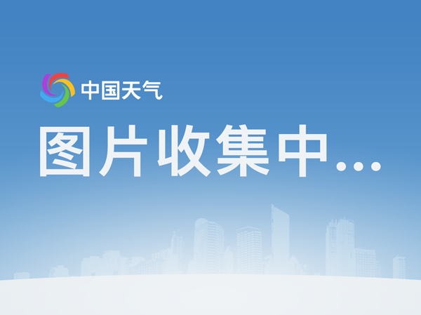 亚博网站
