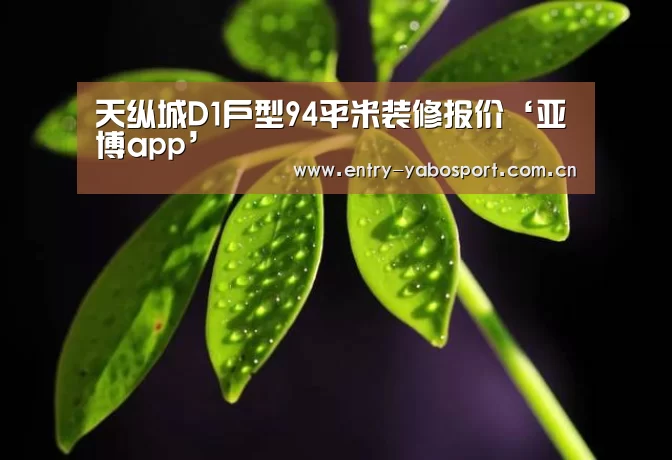 天纵城D1户型94平米装修报价‘亚博app’(图1) 亚博首页