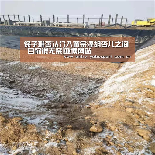 徐子珊否认介入黄宗泽胡杏儿之间 自称很无奈|亚博网站(图1) 亚博网站